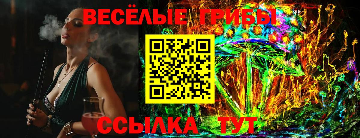 Псилоцибиновые грибы Psilocybe Десногорск