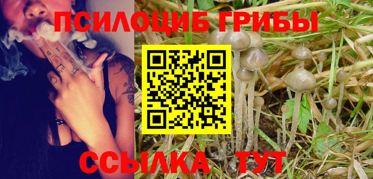 что такое   Псилоцибиновые грибы MAGIC MUSHROOMS  Вход с VPN  Десногорск 